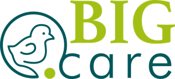 B.I.G. Care GmbH